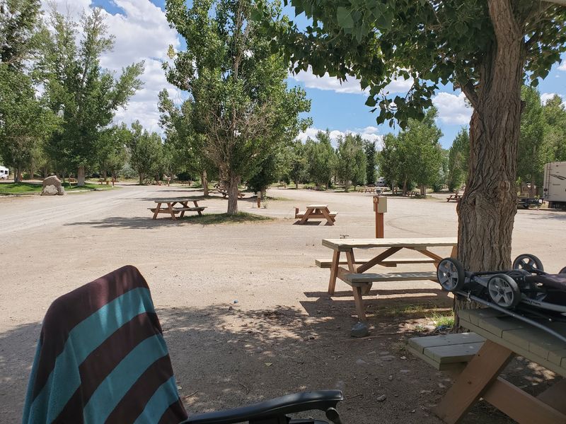 Shaded RV Sites With Full Hookups And Room To Relax
