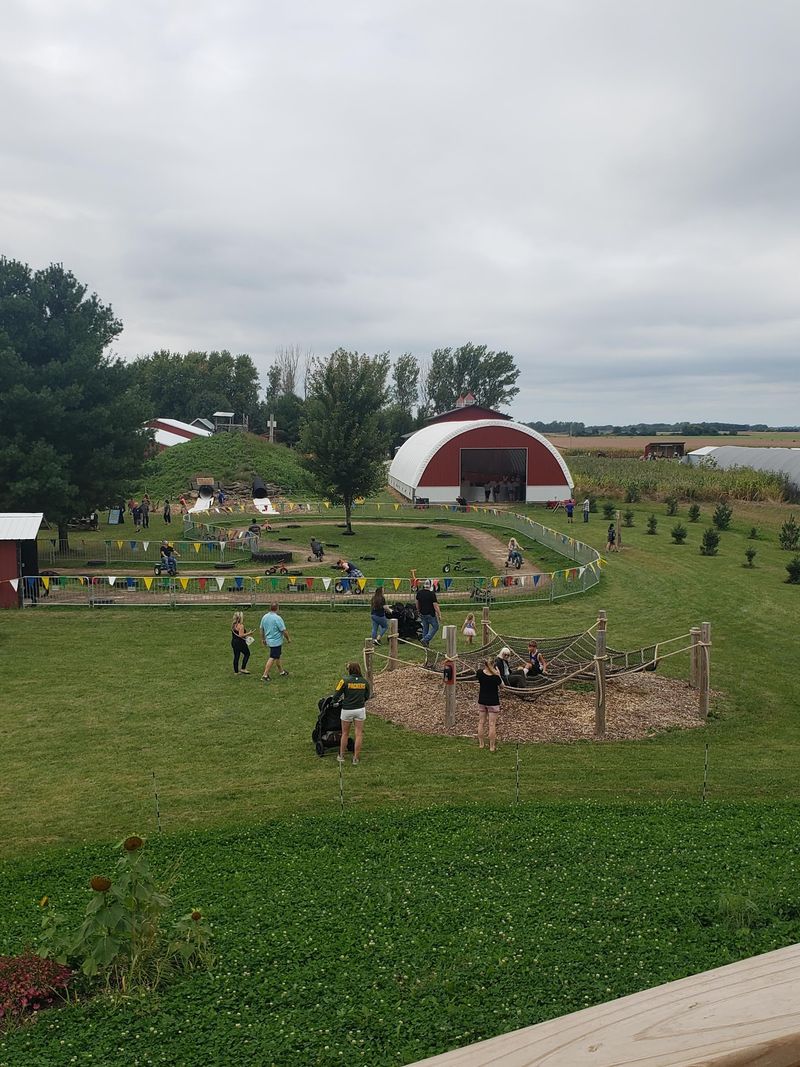 Meeting The Goats, Chickens, And Friendly Farm Animals