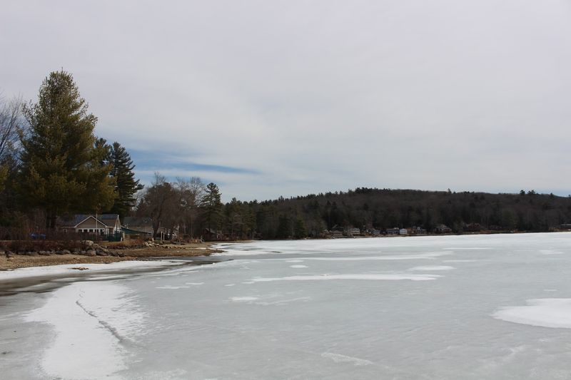 Snowy Season Surprises Visitors