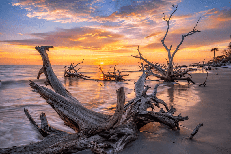 Boneyard Beach Steals Attention