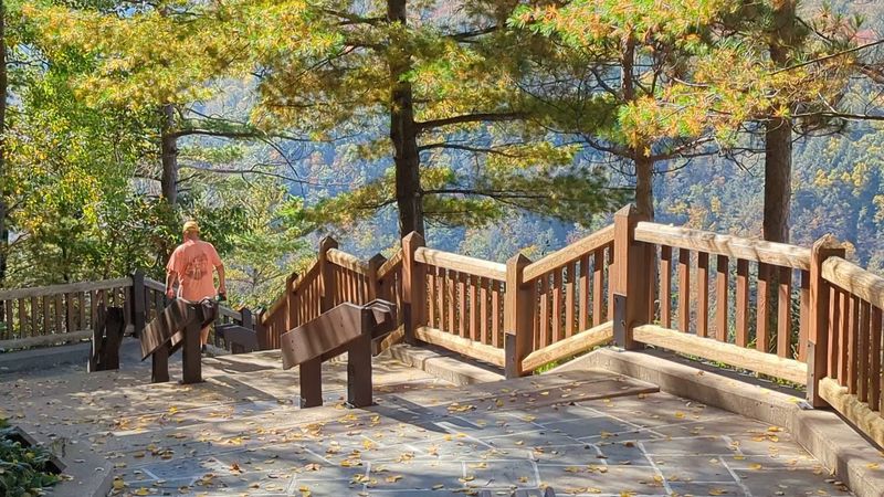 Smart Planning For A One-Day Loop