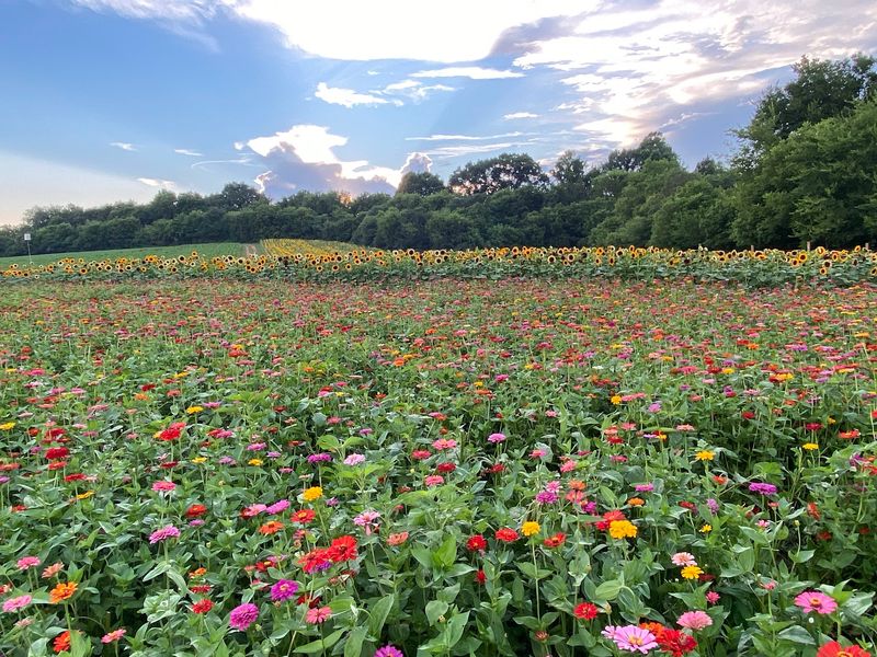 Nightfall Acres, Philadelphia