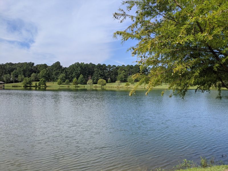 Lake Patsy And The Art Of Doing Nothing Fast