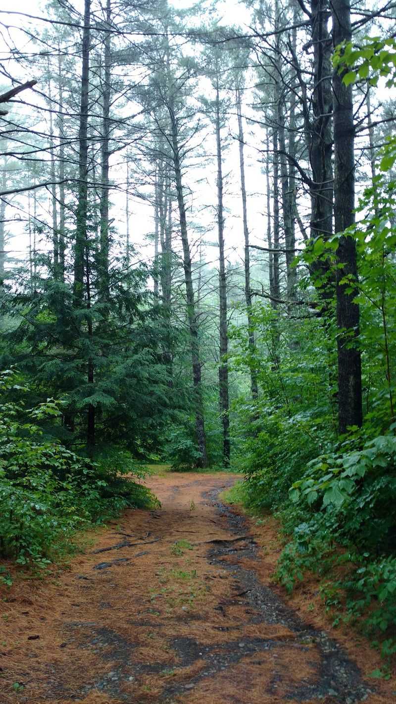 High Peaks Trailheads Wait Nearby