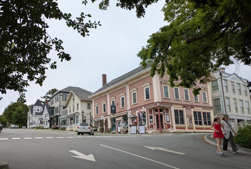 Elm Canopies and Federal Facades