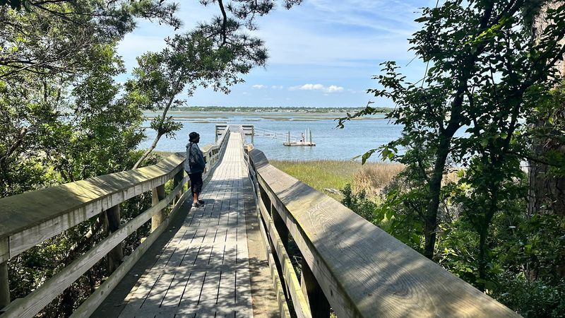 Bike Path And Forest Trails