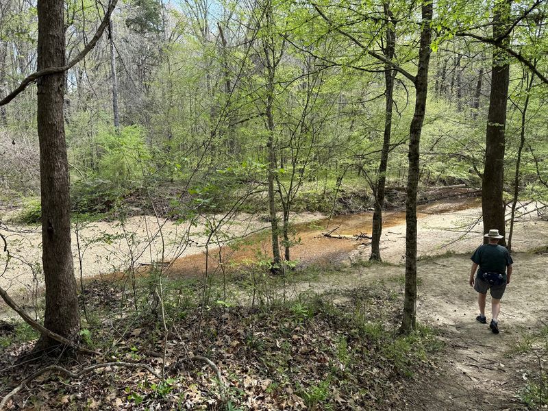 Trails That Trace Ancient Footsteps