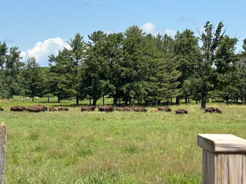 Safety On The Ranch And Why It Matters So Much