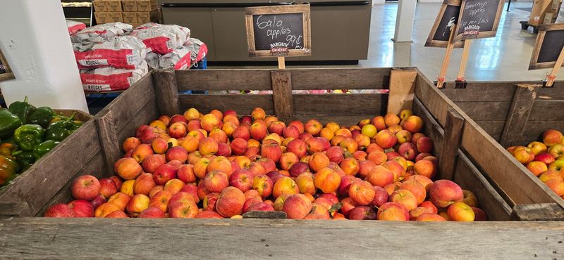 Fighting Food Waste One Shopping Cart At A Time