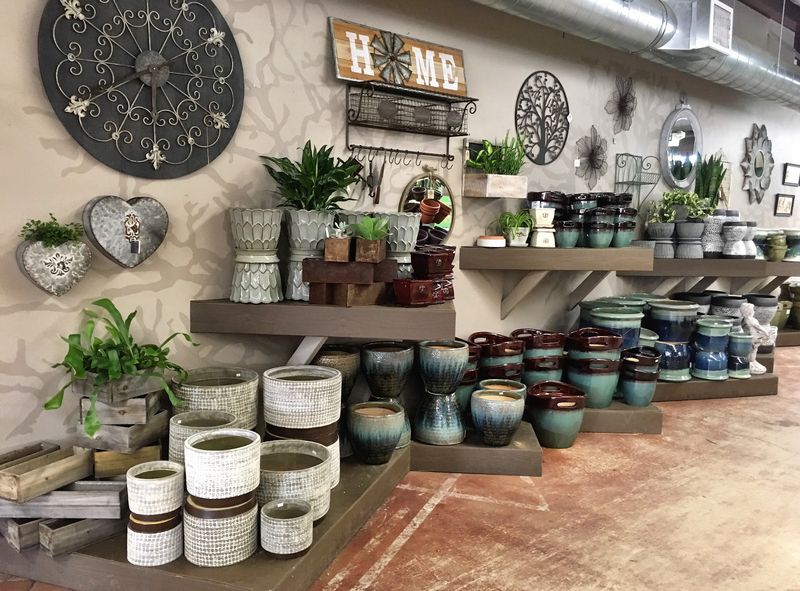 A Complete Garden Center Experience That Rewards Return Visits