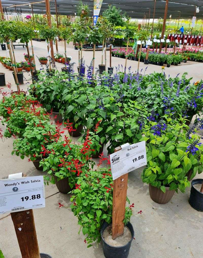 Why The Herb Selection Stands Out