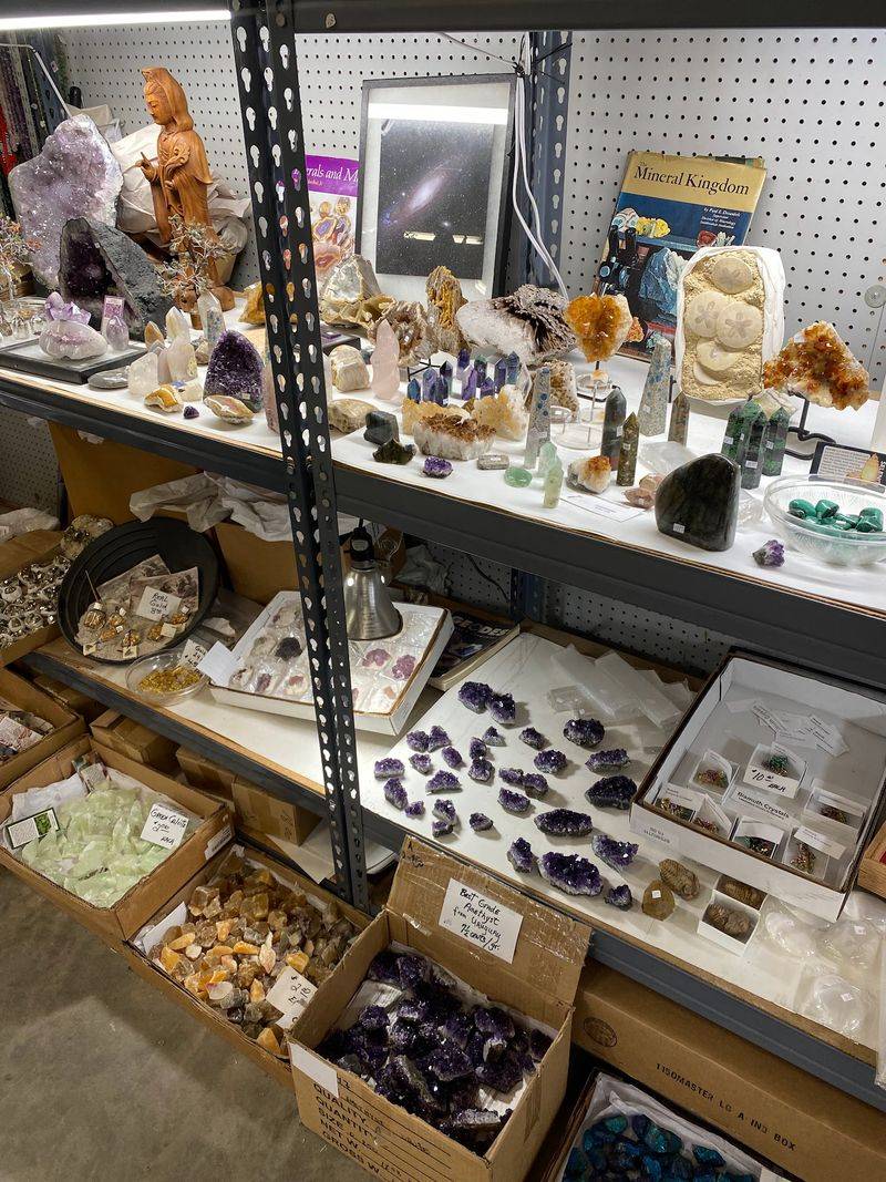 Coins, Fossils, And Old Coal Script