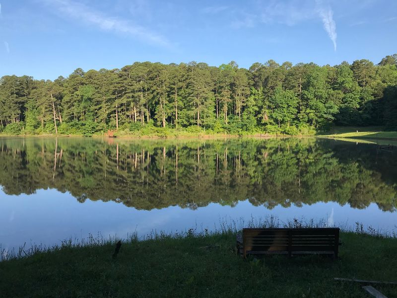 Legion State Park