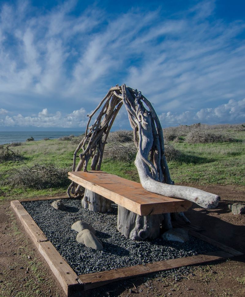 Fiscalini Ranch Preserve On The Bluffs