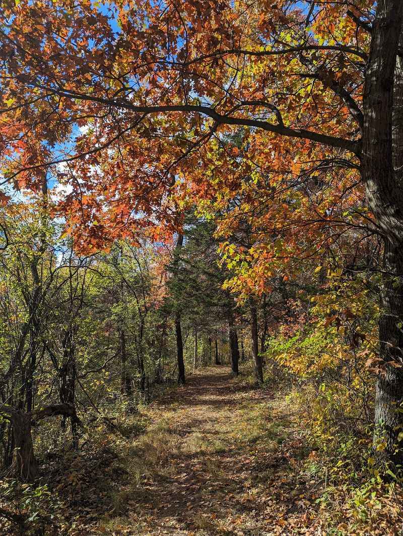 Why This Nature Center Deserves A Spot On Your Family Calendar