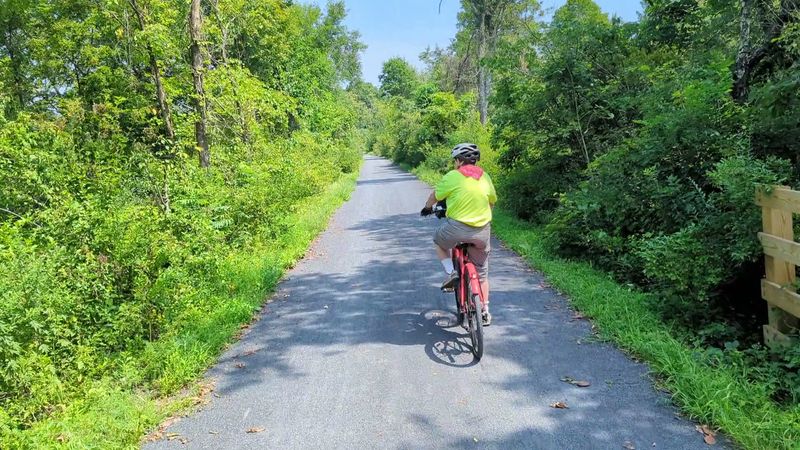 New Paltz Brings The Buzz