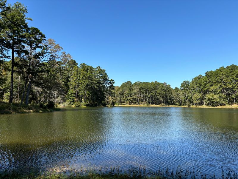 Golden Memorial State Park