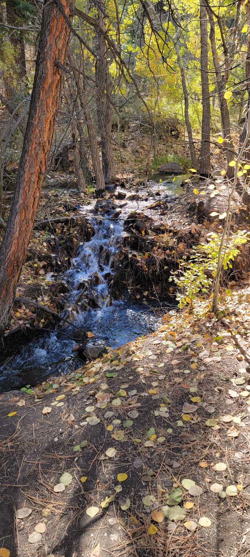 The Sound Of Running Water Follows You