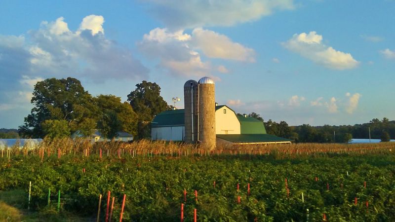 Elkton