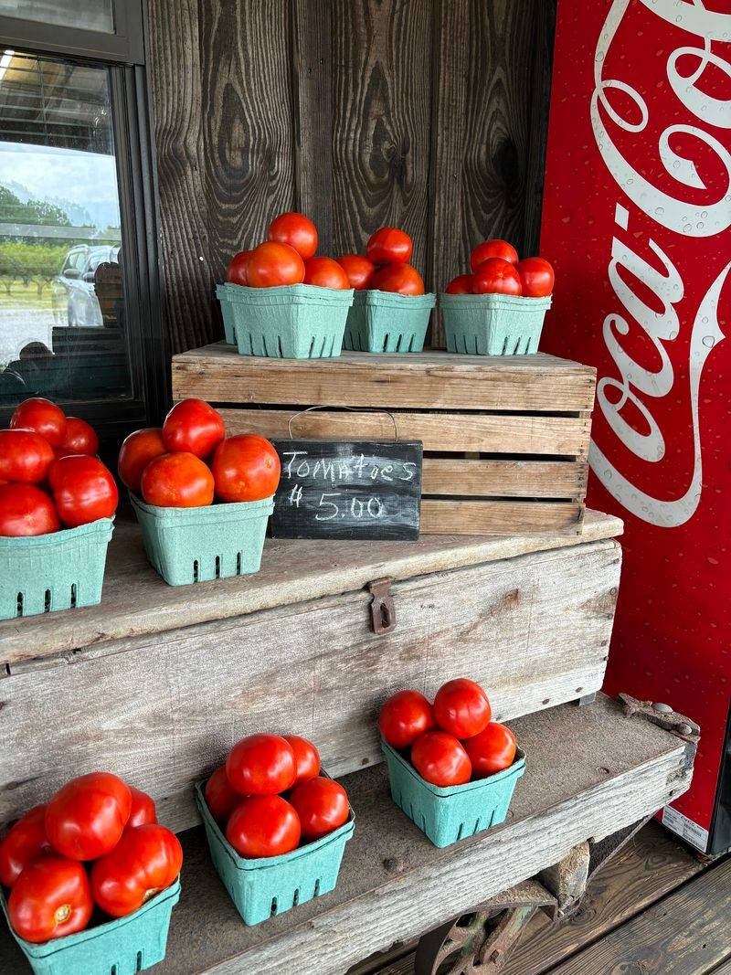 Pumpkins And Autumn Traditions