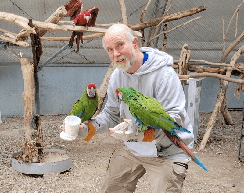 Parrots With Big Voices And Bigger Personalities