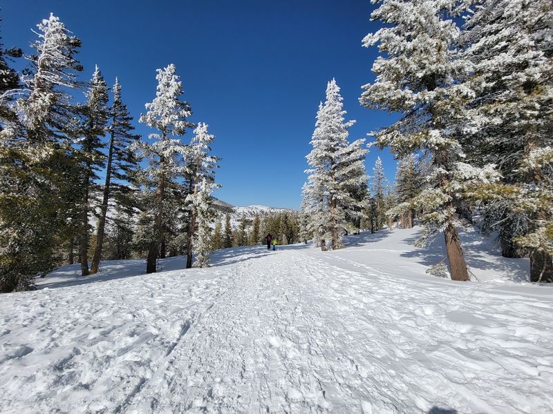Washoe Valley Spread Out Below