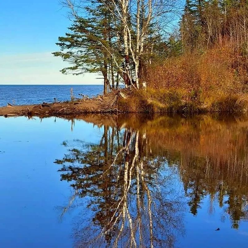 Nature Takes Center Stage Along The Shoreline