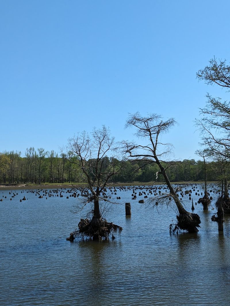 Wall Doxey State Park