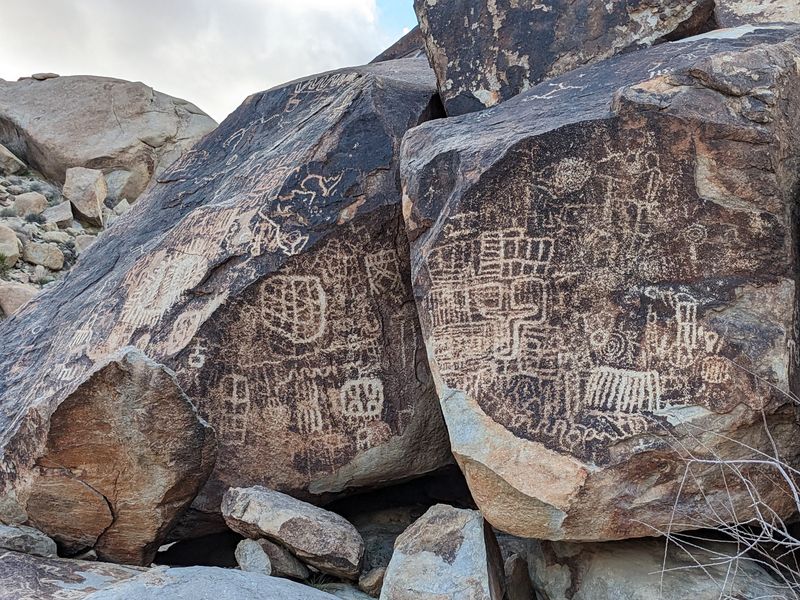 Grapevine Canyon Petroglyphs Trail