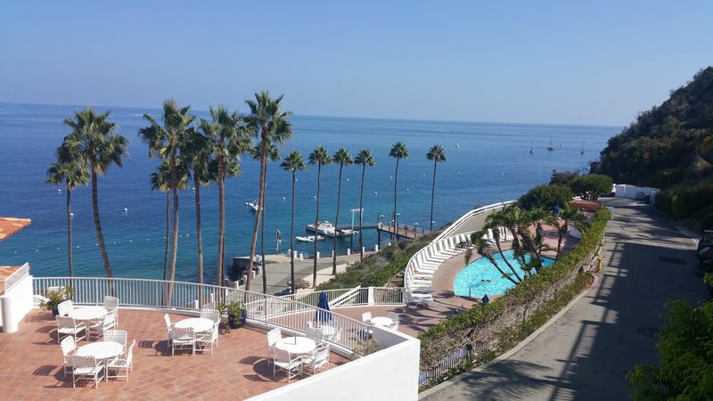 Crystal Waters And Marine Life