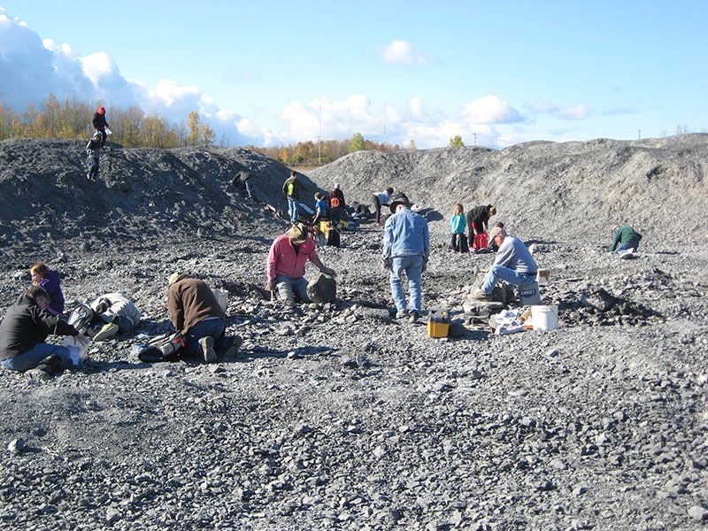 Penn Dixie Fossil Park