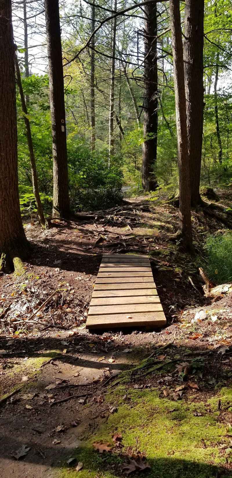Mohican-Mohawk Trail, Charlemont
