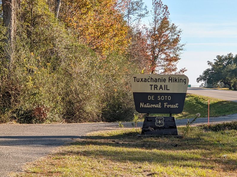 Tuxachanie National Hiking Trail - De Soto National Forest