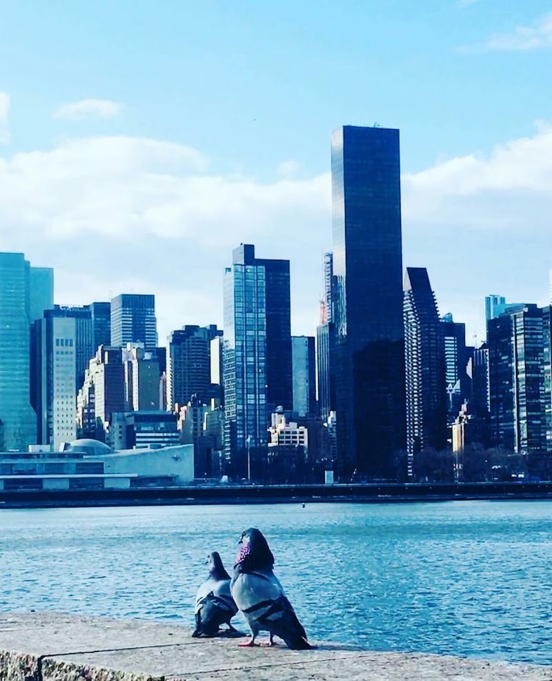 Long Island City — Queens