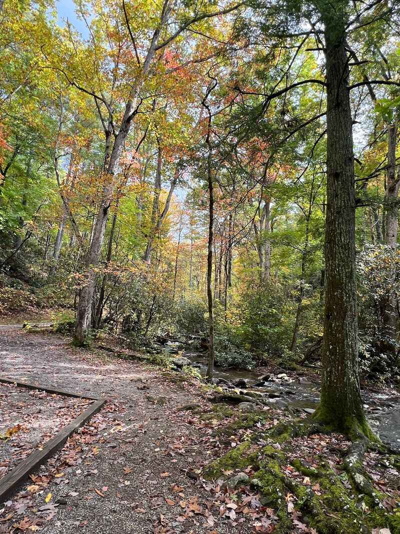 Anthony Creek Trail, Cades Cove