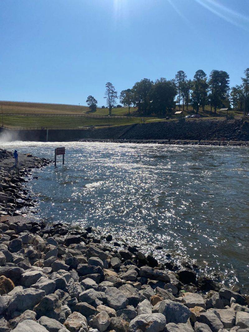 Lower Lake Beach 