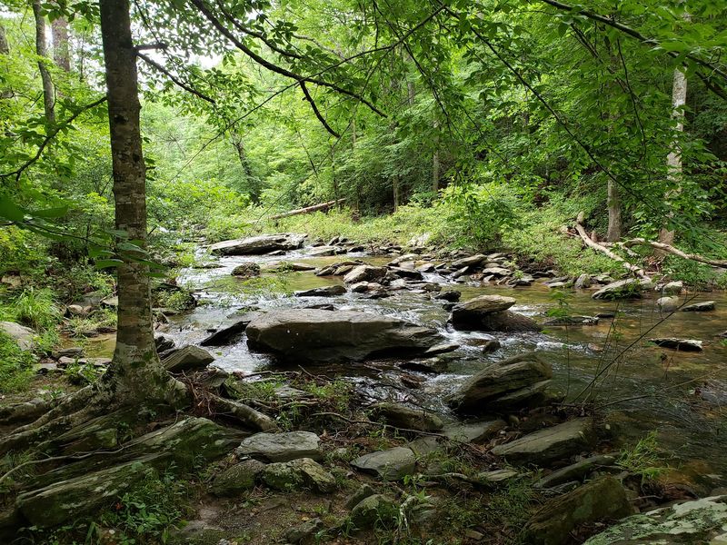 Black Belt Ponds And Springs
