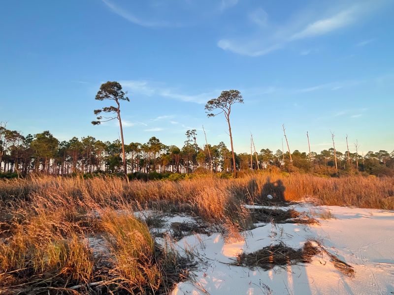 Deer Island 