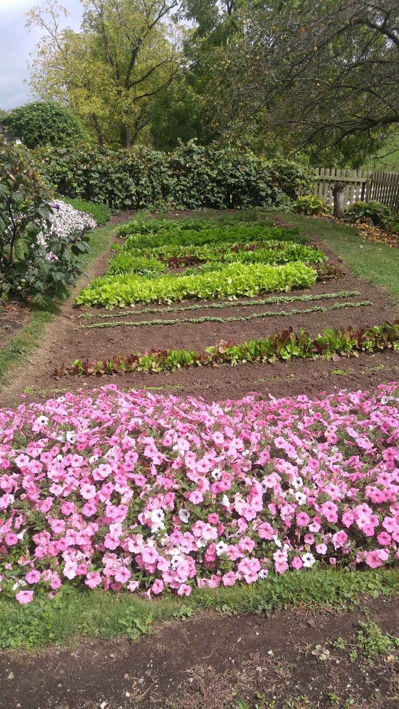 Local Farming Practices Behind Fresh Food Offerings