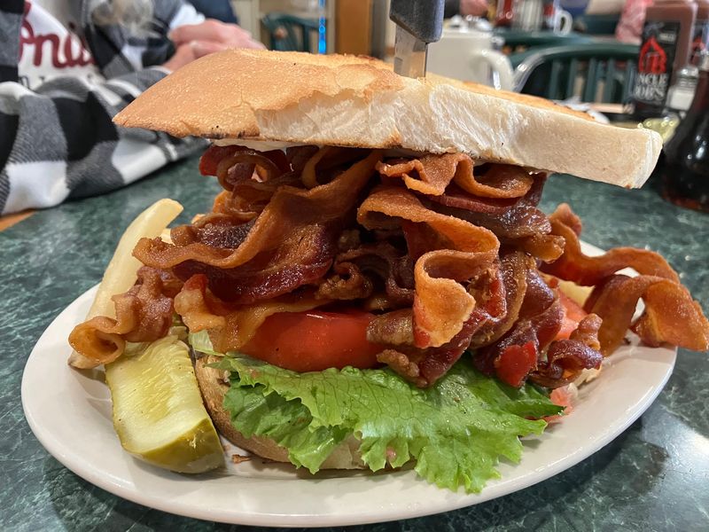 Pairing The Stop With Birch Run And Frankenmuth Trips