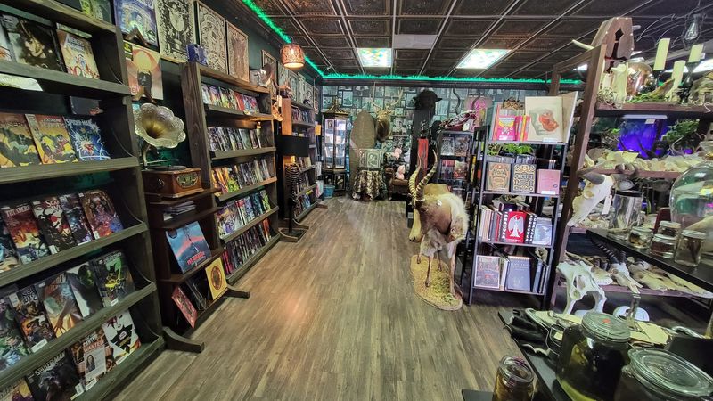 Pop Culture Treasures Worth Browsing