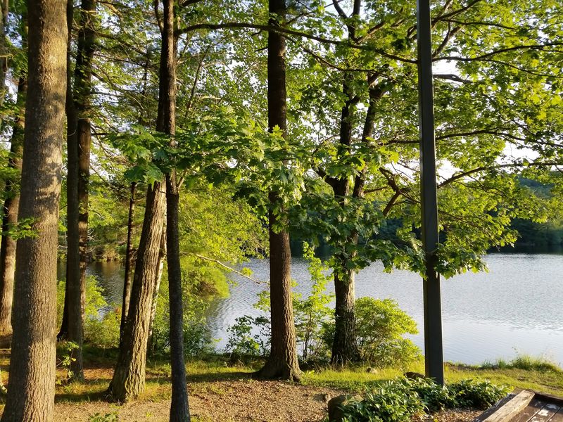 Lakeside Mornings Cost Nothing