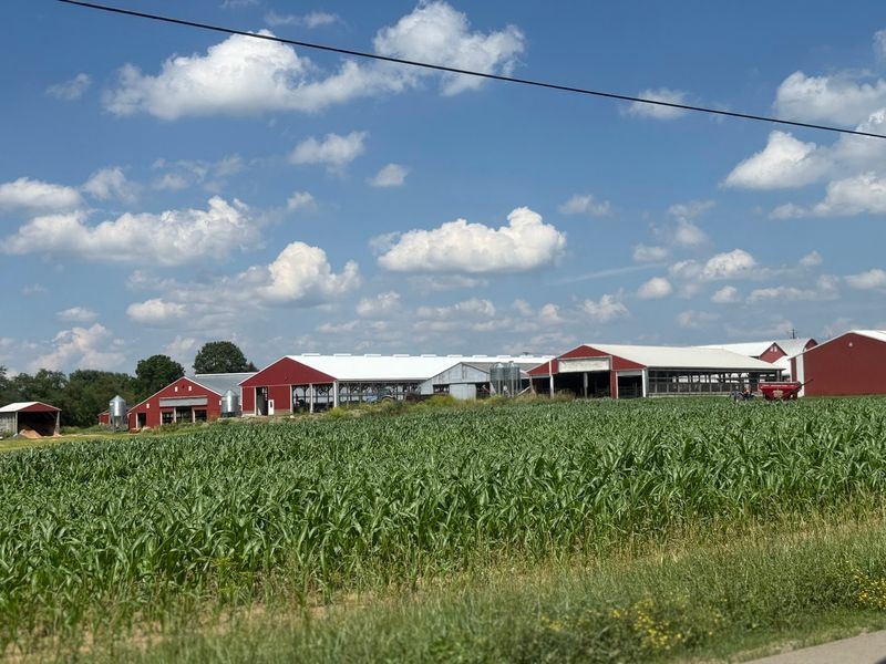 Clymer Farm Country - Chautauqua County