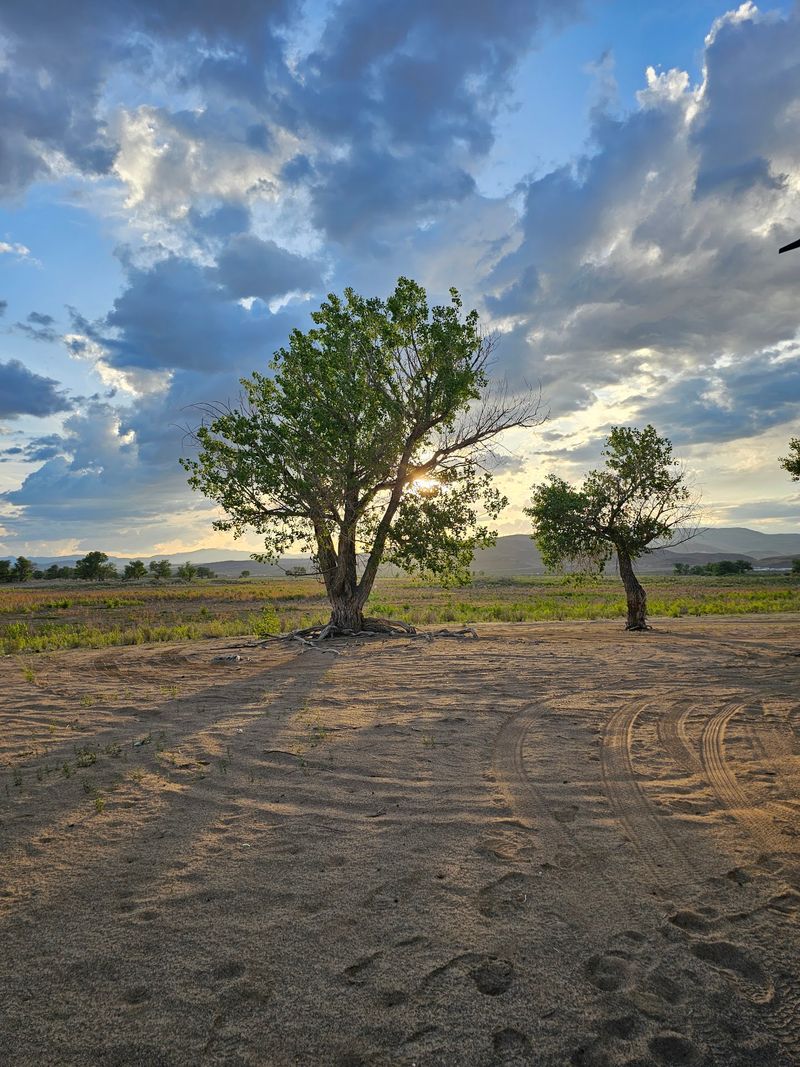 Wildlife That Thrives In An Unlikely Place