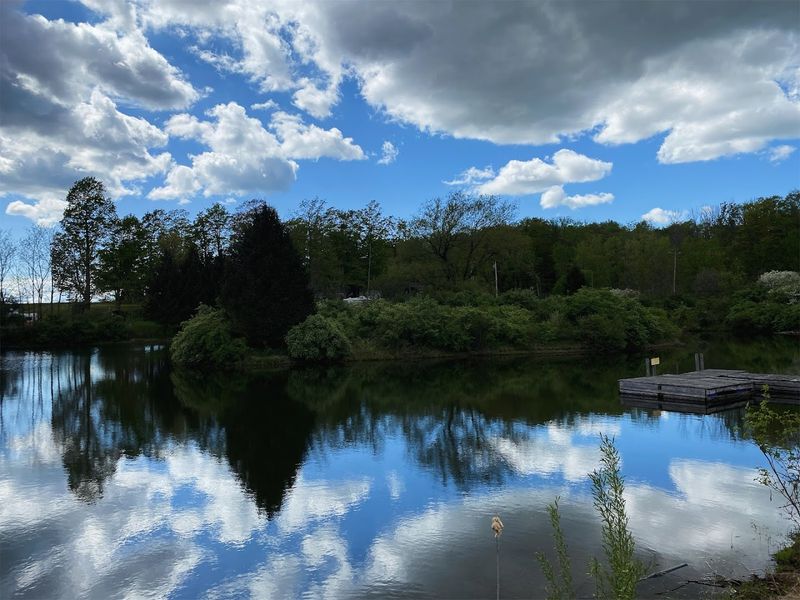 Wellness And Nature Programs That Reset Your Brain
