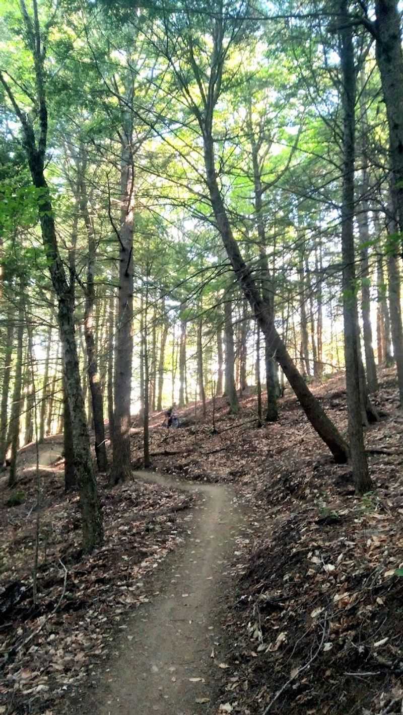 Nearby Trails Reveal A Quieter Side Of Montpelier