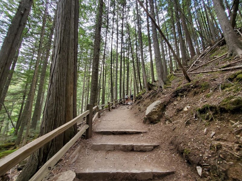 Ecological Preservation Efforts And Challenges