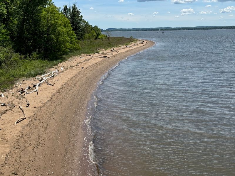 Parks That Actually Deserve Your Afternoon
