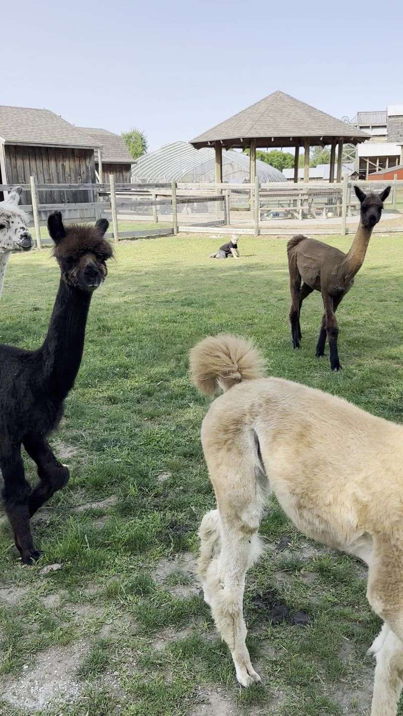 One Visit Can Easily Turn Into An Entire Day Of Animal Encounters