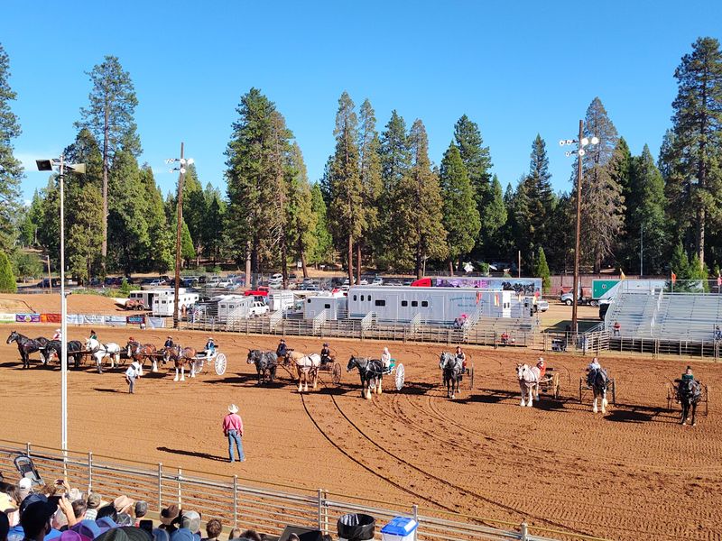 Grandstand Nights And Oddball Contests